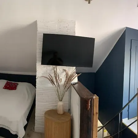 Apartament Cieszyno- Uroczy Do Wynajęcia