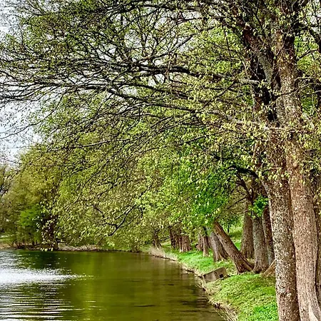 Uroczy * Złocieniec